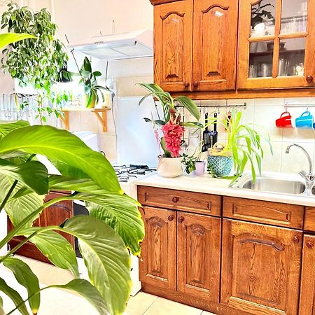 Margaret Bridge Best Spot Apartment 布达佩斯 外观 照片
