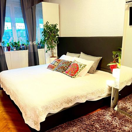 Margaret Bridge Best Spot Apartment 布达佩斯 外观 照片