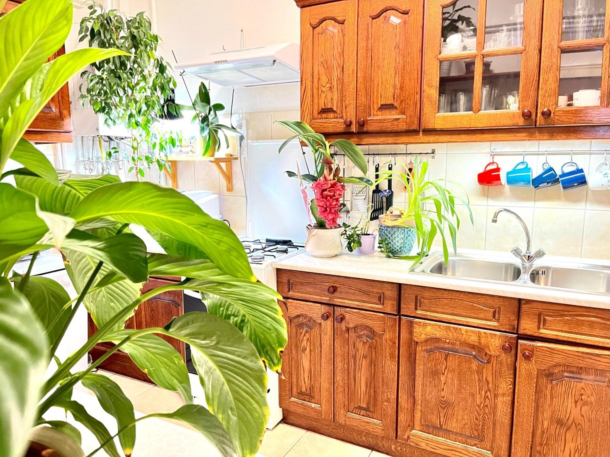 Margaret Bridge Best Spot Apartment 布达佩斯 外观 照片